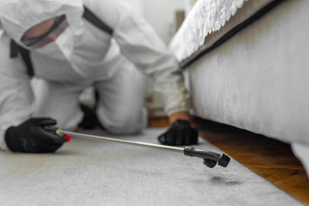 Professional Bed Bug Control technician working in Clinton, LA
