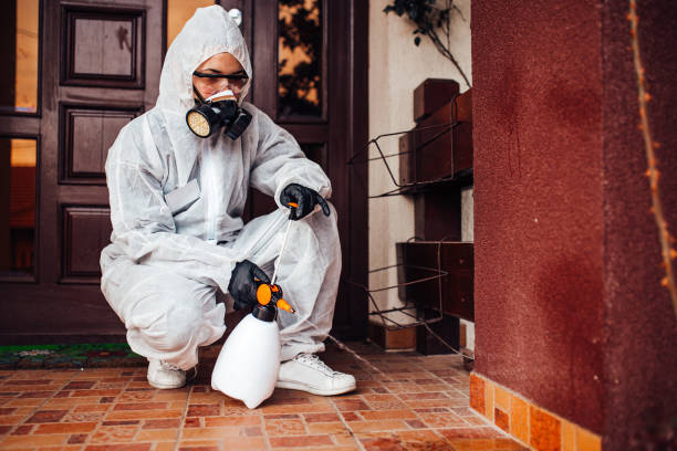 Reliable Bed Bug Control contractor in Clinton, LA by Nex Pest Control